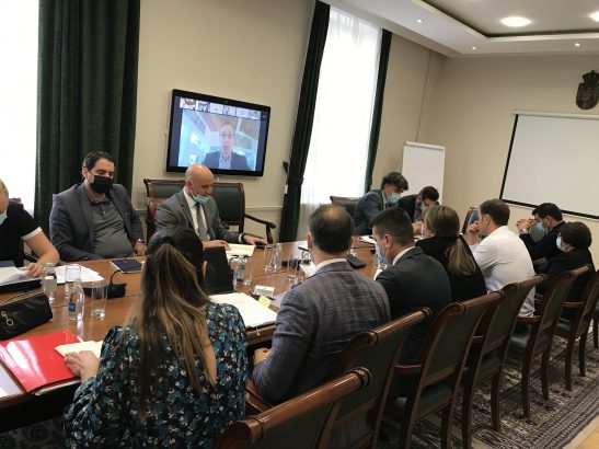Ministar Mali razgovarao sa MMF-om o reformskim procesima i budzetu za 2021. godinu