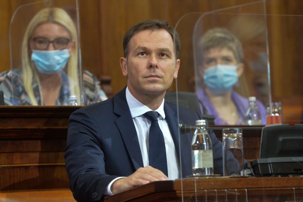 Ministar Mali predstavio poslanicima drugi rebalans budzeta Republike Srbije za 2020. godinu